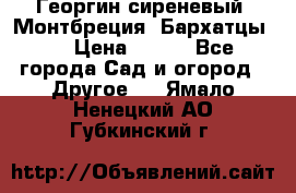 Георгин сиреневый. Монтбреция. Бархатцы.  › Цена ­ 100 - Все города Сад и огород » Другое   . Ямало-Ненецкий АО,Губкинский г.